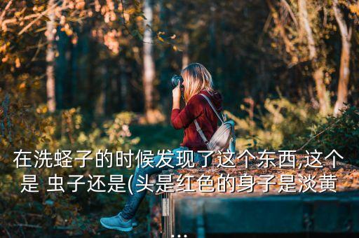 在洗蟶子的時候發現了這個東西,這個是 蟲子還是(頭是紅色的身子是淡黃...