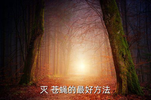 滅 蒼蠅的最好方法