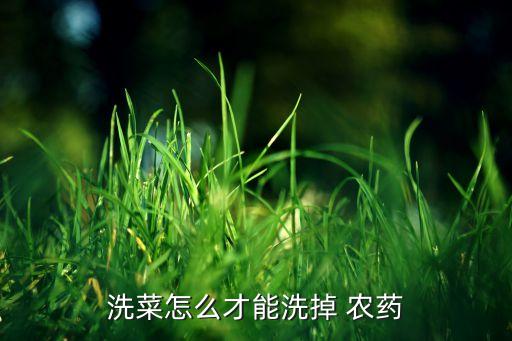 洗菜怎么才能洗掉 農藥
