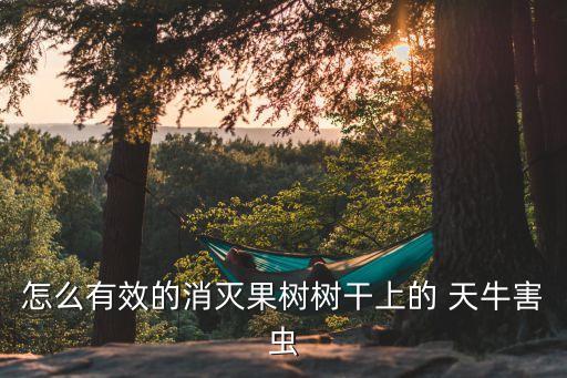 怎么有效的消滅果樹(shù)樹(shù)干上的 天牛害蟲(chóng)