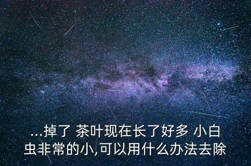 ...掉了 茶葉現在長了好多 小白蟲非常的小,可以用什么辦法去除