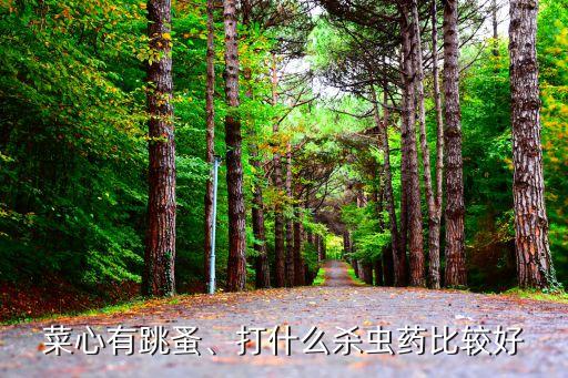 跳騷用什么農藥,農藥反跳會有什么反應