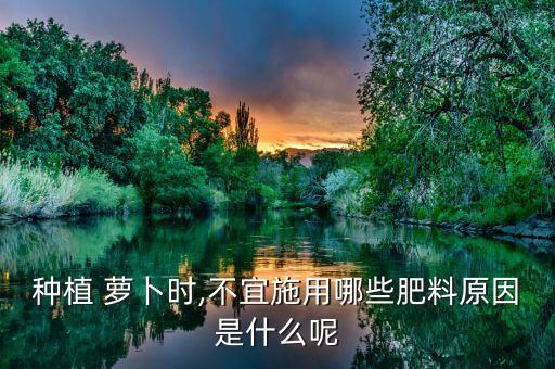 蘿卜爛根打什么農藥,什么農藥可以讓樹爛根