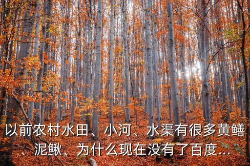 以前農村水田、小河、水渠有很多黃鱔、泥鰍、為什么現在沒有了百度...