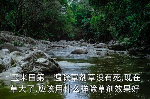  玉米田第一遍除草劑草沒有死,現(xiàn)在草大了,應(yīng)該用什么樣除草劑效果好