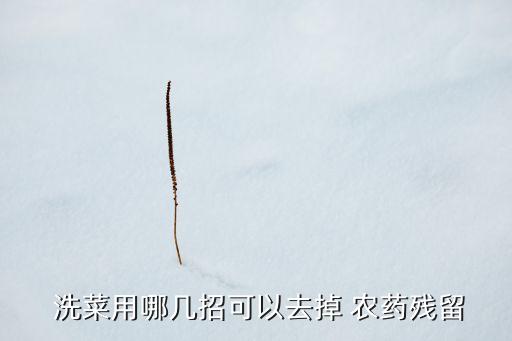  洗菜用哪幾招可以去掉 農藥殘留