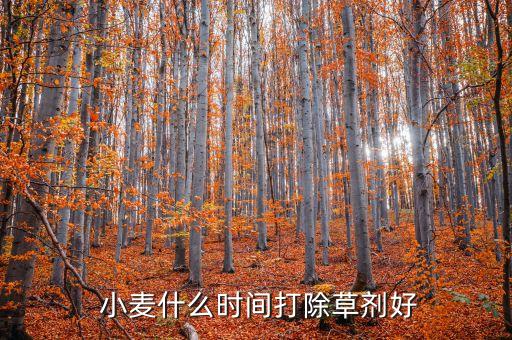 小麥?zhǔn)裁磿r(shí)間打除草劑好