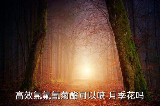高效氯氟氰菊酯可以噴 月季花嗎