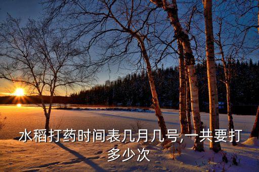  水稻打藥時間表幾月幾號,一共要打多少次