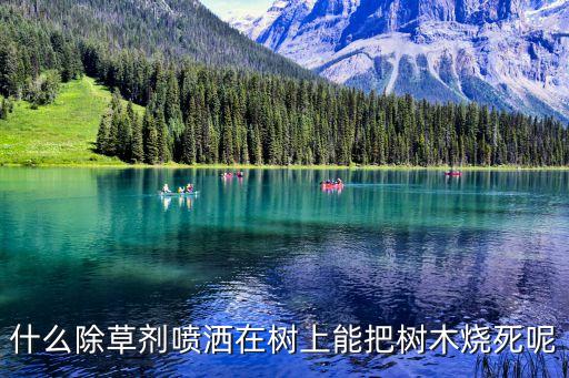 什么農(nóng)藥把大樹死掉,用啥農(nóng)藥可以讓大樹死掉