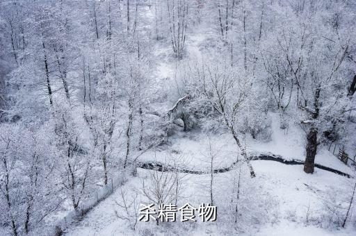 殺精食物