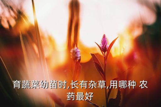 育蔬菜幼苗時(shí),長有雜草,用哪種 農(nóng)藥最好