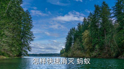 怎樣快速消滅 螞蟻
