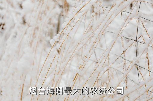 煙臺海陽最大的農資公司