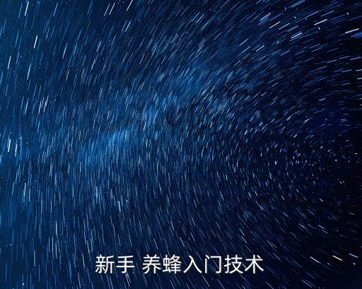 新手 養蜂入門技術