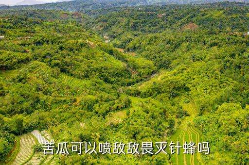  苦瓜可以噴敵敵畏滅針蜂嗎