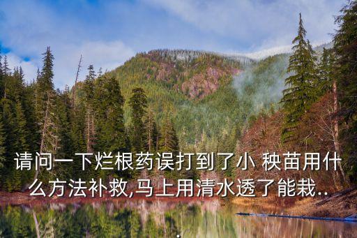 請問一下爛根藥誤打到了小 秧苗用什么方法補救,馬上用清水透了能栽...