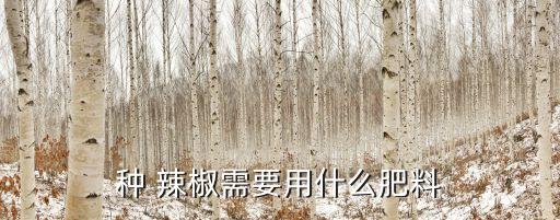 辣椒坐果用什么農(nóng)藥最好,只開花不坐果最好的農(nóng)藥