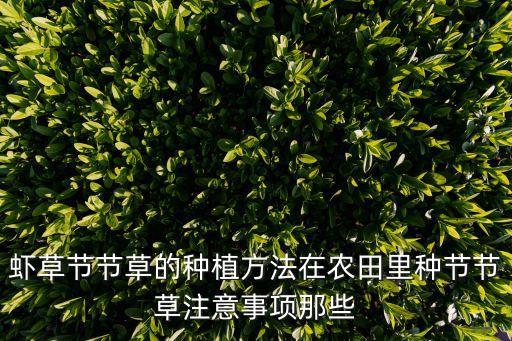 蝦子草用什么農(nóng)藥,四川蝦子草叫什么
