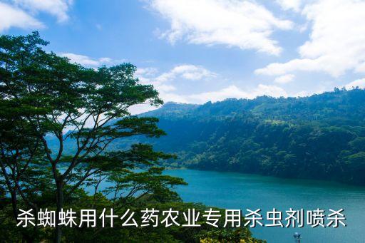 殺蜘蛛用什么藥農業(yè)專用殺蟲劑噴殺