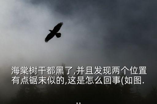  海棠樹干都黑了,并且發(fā)現(xiàn)兩個(gè)位置有點(diǎn)鋸末似的,這是怎么回事(如圖...