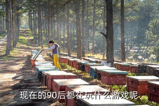 王者農藥的公司是什么,王者榮耀現在是什么公司