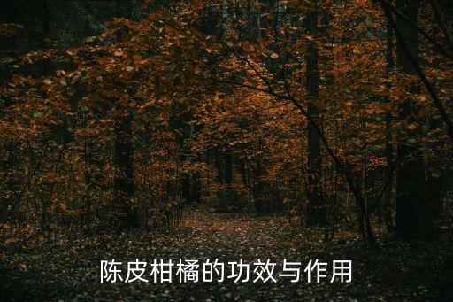 陳皮柑橘的功效與作用