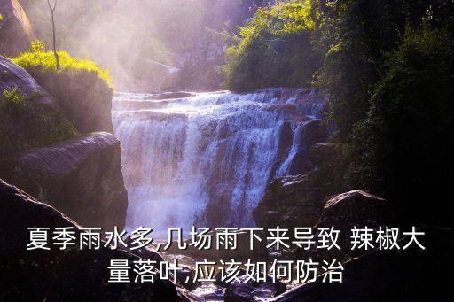 夏季雨水多,幾場雨下來導致 辣椒大量落葉,應該如何防治