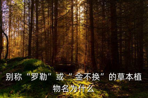 農藥金不換是什么成分,?？宿r藥是什么成分