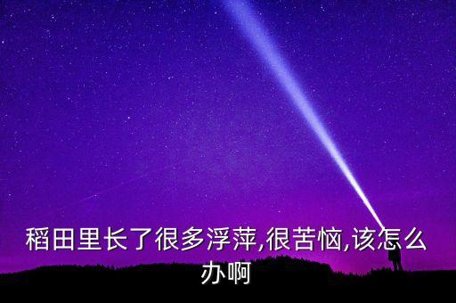 稻田里長了很多浮萍,很苦惱,該怎么辦啊