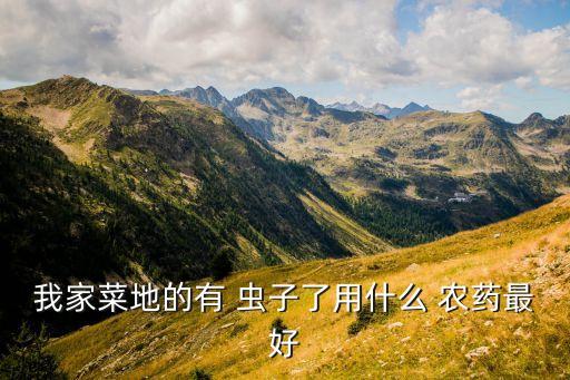 我家菜地的有 蟲子了用什么 農(nóng)藥最好