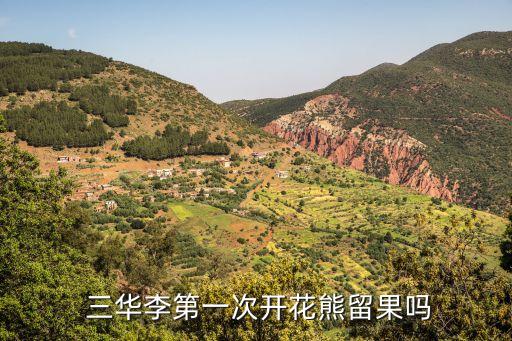  三華李第一次開花熊留果嗎