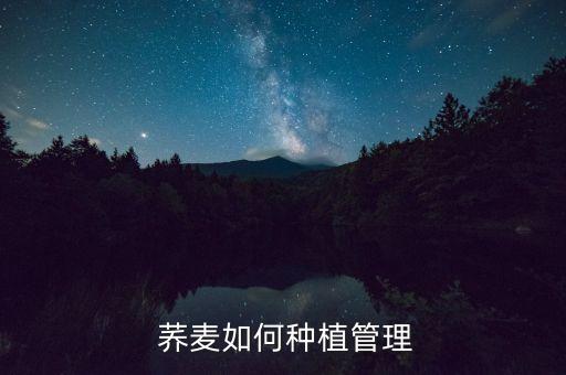  蕎麥如何種植管理