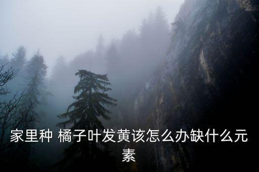 橘子用什么農藥催黃,橘子開花打什么農藥