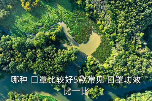 哪種 口罩比較好5款常見 口罩功效比一比