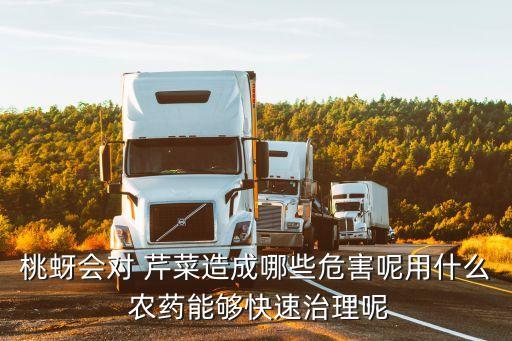桃蚜會對 芹菜造成哪些危害呢用什么 農藥能夠快速治理呢