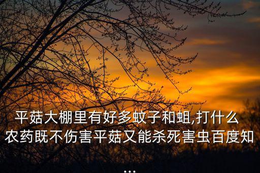 殺蛆蟲用什么農藥,蛆蟲打什么農藥好