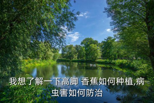 我想了解一下高腳 香蕉如何種植,病蟲害如何防治