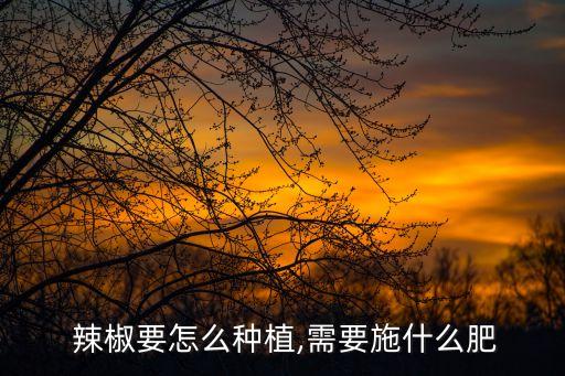 辣椒能澆什么農藥水好呢,辣椒殺蟲用什么農藥