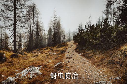 滴灌用什么農藥治蚜蟲,什么農藥能殺死蚜蟲