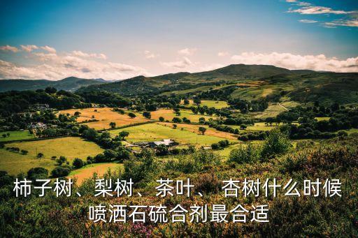 春季杏樹打什么農(nóng)藥,杏樹打什么農(nóng)藥最好呢