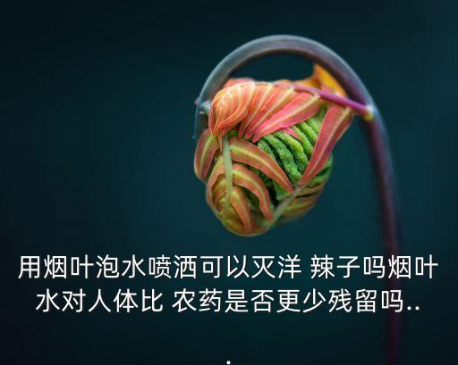 洋辣子用什么農藥消滅,毛辣子用什么農藥可以消滅