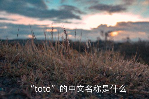 “toto”的中文名稱是什么