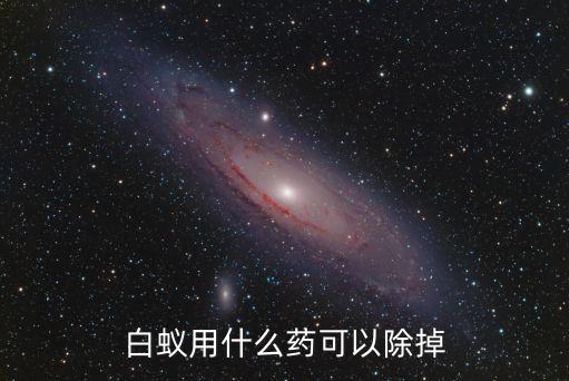 白蟻用什么藥可以除掉