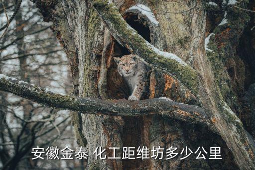 濰農化工是什么農藥,新農基農藥化工有限公司