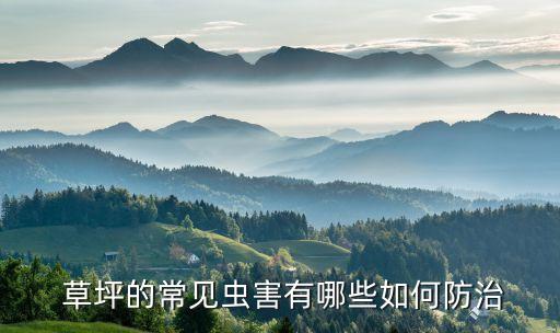 草坪使用什么農藥,草坪一般打什么農藥