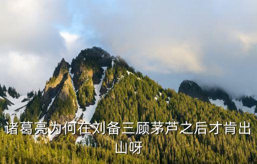 蘆茅用什么農(nóng)藥,什么農(nóng)藥無(wú)色無(wú)味