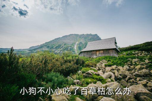 狗吃了農藥什么辦,羊吃了農藥用什么解毒