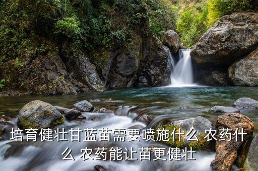 培育健壯甘藍苗需要噴施什么 農藥什么 農藥能讓苗更健壯
