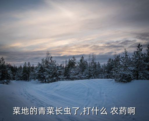 菜地的青菜長蟲了,打什么 農藥啊